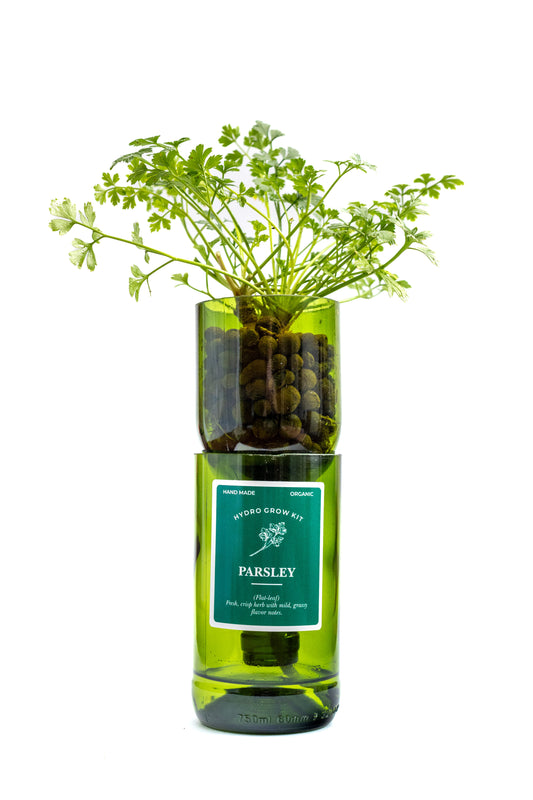 Parsley